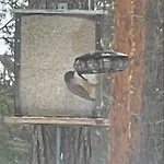 Loppiaiskaari 5, Paljakka Puolanka