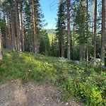 Loppiaiskaari 5, Paljakka Domek alpejski