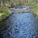 Loppiaiskaari 5, Paljakka