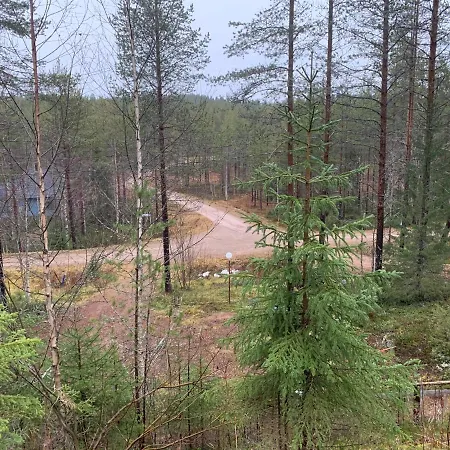 샬레 Loppiaiskaari 5, Paljakka