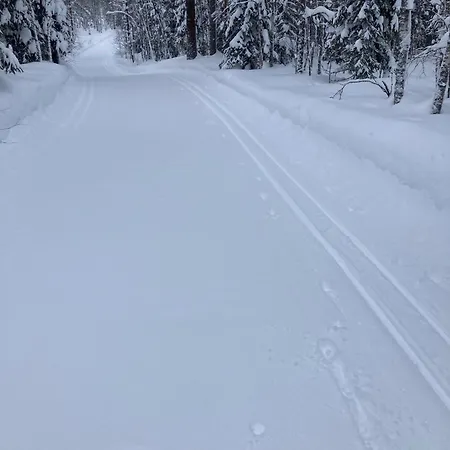 Loppiaiskaari 5, Paljakka Alpesi faház Puolanka