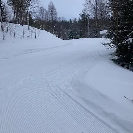 Loppiaiskaari 5, Paljakka Puolanka