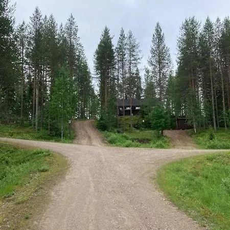 Loppiaiskaari 5, Paljakka *