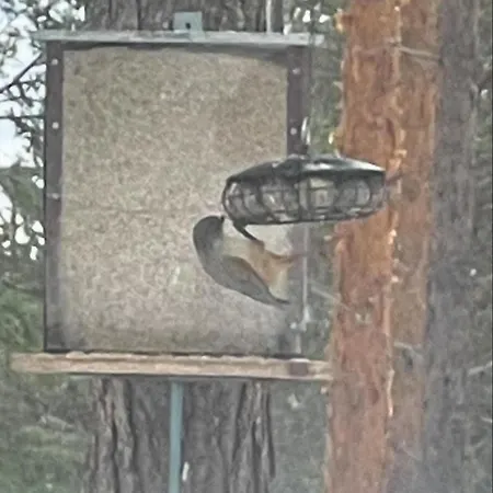 Loppiaiskaari 5, Paljakka Puolanka