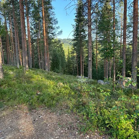 Loppiaiskaari 5, Paljakka 샬레