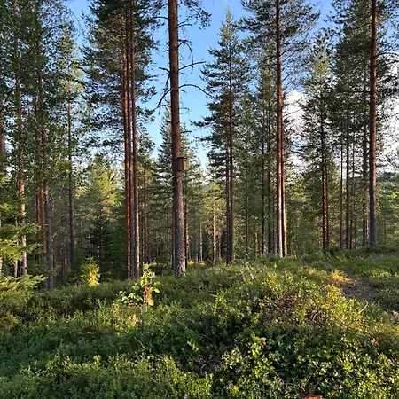 Chalet Loppiaiskaari 5, Paljakka