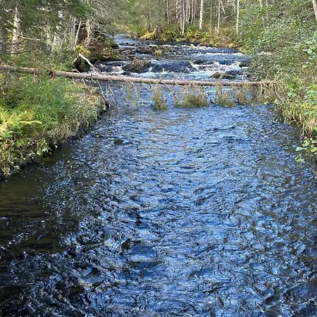 Loppiaiskaari 5, Paljakka