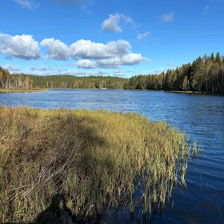 Loppiaiskaari 5, Paljakka 샬레