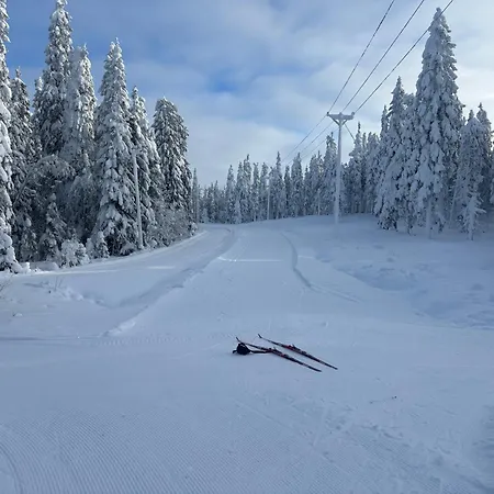 Loppiaiskaari 5, Paljakka Lomamökit *