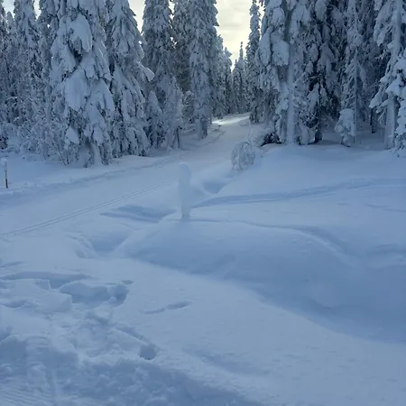 Loppiaiskaari 5, Paljakka * Puolanka