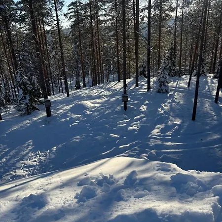 Loppiaiskaari 5, Paljakka