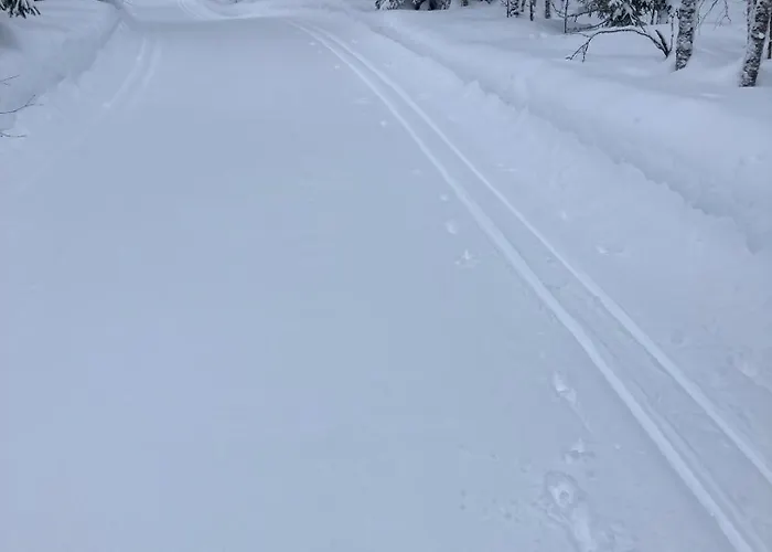 Loppiaiskaari 5, Paljakka Lomamökit Puolanka