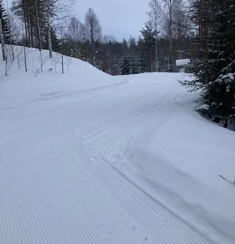 Loppiaiskaari 5, Paljakka Puolanka