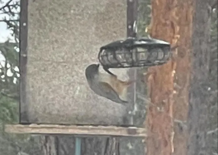 Loppiaiskaari 5, Paljakka Puolanka