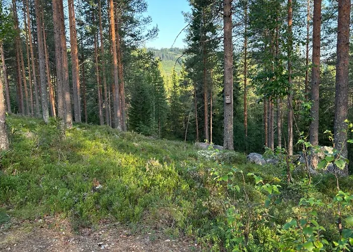 Loppiaiskaari 5, Paljakka Lomamökit