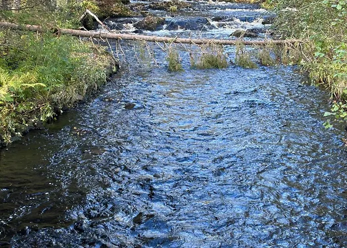 Loppiaiskaari 5, Paljakka