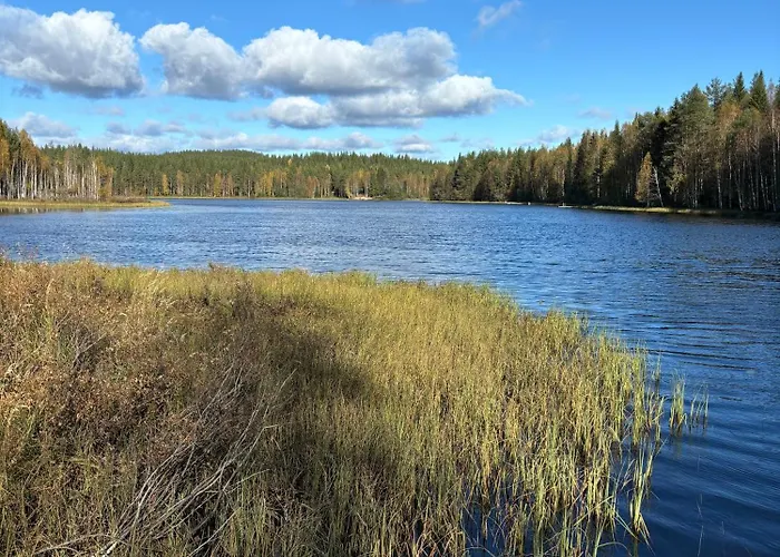 Loppiaiskaari 5, Paljakka Lomamökit