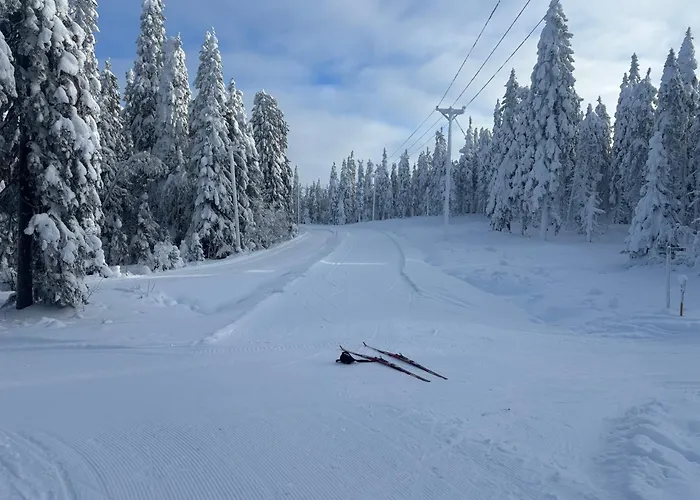 Loppiaiskaari 5, Paljakka Lomamökit *