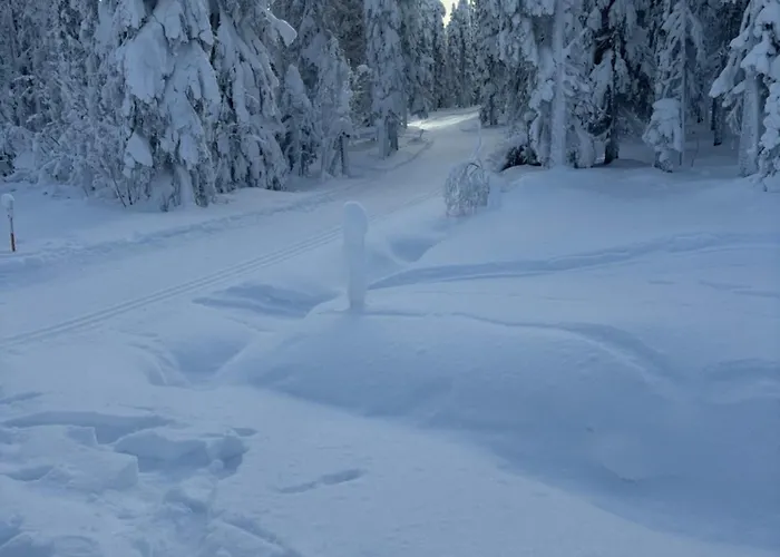 Loppiaiskaari 5, Paljakka * Puolanka