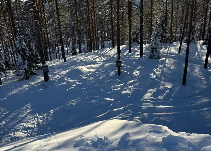 Loppiaiskaari 5, Paljakka